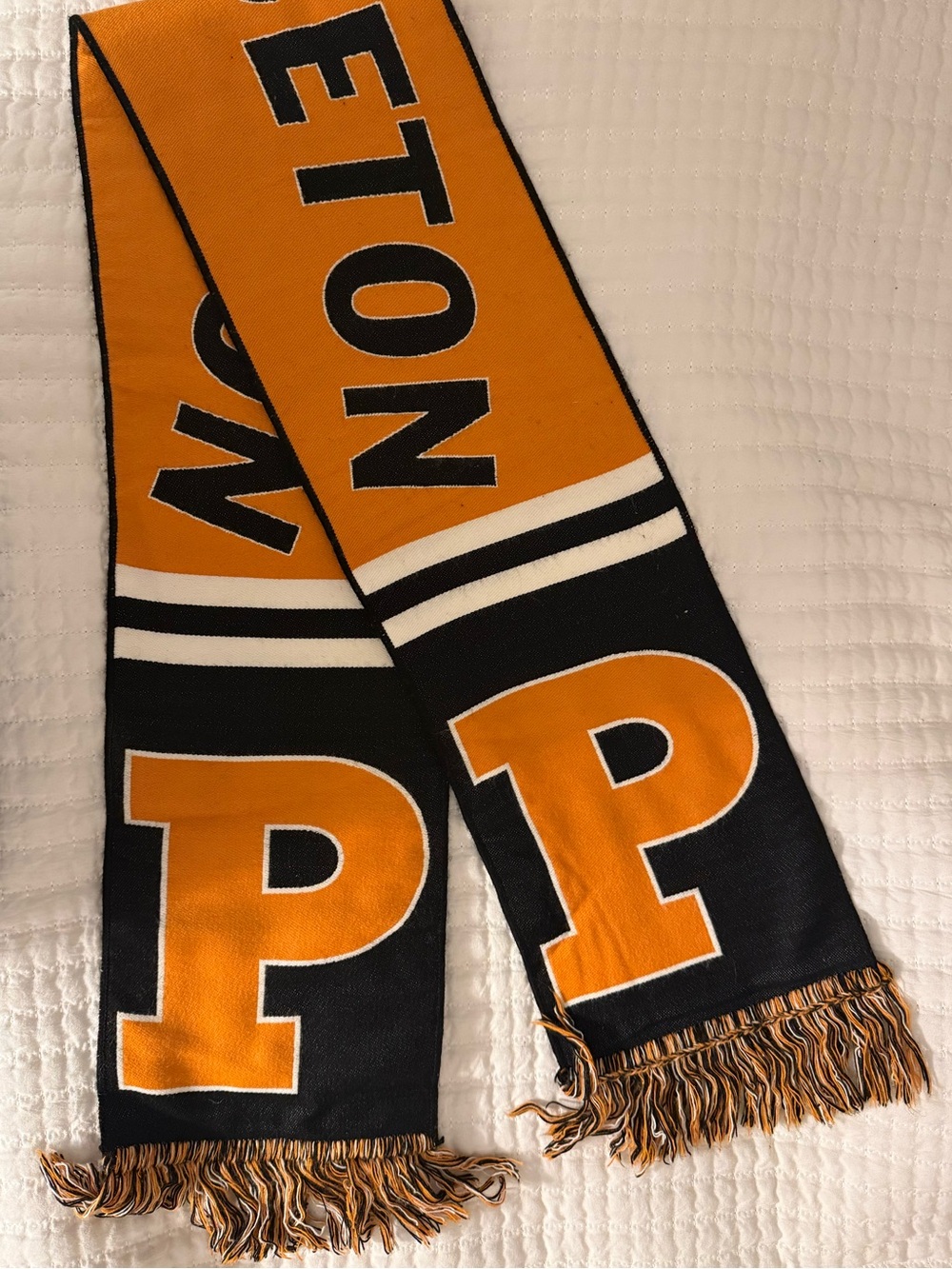 Princeton University scarf